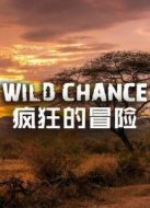 BBC：瘋狂的冒險(xiǎn)