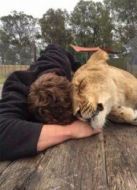 BBC:我和動(dòng)物的生活劇情介紹(1-1全集)