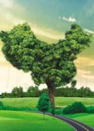 綠色崛起的中國