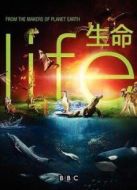BBC：生命劇情介紹(1-10全集)