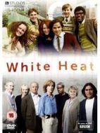 白熱人生劇情介紹(1-6全集)