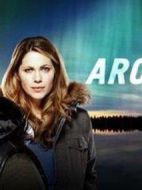 北極航線劇情介紹(1-10全集)