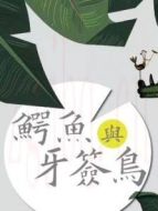 鱷魚與牙簽鳥DVD版