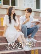 謀愛(ài)上癮第二季劇情介紹(1-12全集)