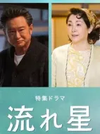 流星劇情介紹(1-16全集)