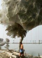 BBC：自然界怪奇事件 第二季劇情介紹(1-3全集)