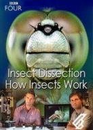 BBC：昆蟲(chóng)解剖劇情介紹(1-1全集)
