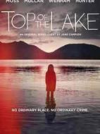 謎湖之巔第一季海報(bào)