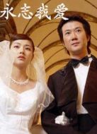 臺北有多遠(yuǎn)劇情介紹(1-20全集)