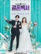 結(jié)婚白皮書劇情介紹(1-12全集)