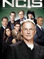 海軍罪案調(diào)查處第八季劇情介紹(1-24全集)