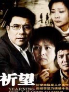 祈望劇情介紹(1-32全集)