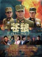 蒼狼劇情介紹(1-46全集)