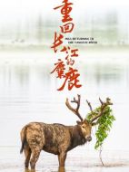 重回長江的麋鹿劇情介紹(1-2全集)