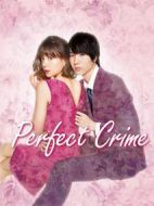 完美犯罪