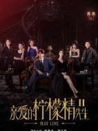 親愛的檸檬精先生2