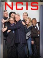 海軍罪案調(diào)查處第十四季