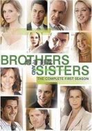 新朱門恩怨第一季劇情介紹(1-10全集)