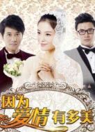 因?yàn)閻矍橛卸嗝溃ㄎ磩h減版）劇情介紹(1-80全集)