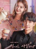 依法相愛劇情介紹(1-16全集)