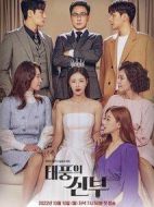 臺風的新娘劇情介紹(1-100全集)