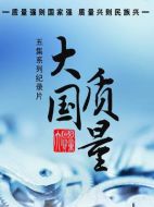 大國質(zhì)量劇情介紹(1-5全集)
