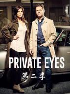 私家偵探第二季劇情介紹(1-13全集)