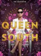 南方女王第二季劇情介紹(1-13全集)