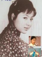 嚴鳳英劇情介紹(1-15全集)