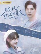 被風(fēng)吹過(guò)的夏天劇情介紹(1-24全集)
