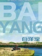 白洋淀劇情介紹(1-3全集)