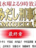 はみだし刑事情熱系最終章劇情介紹(1-12全集)