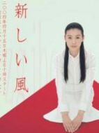 清新的風劇情介紹(1-11全集)