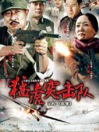 猛虎突擊隊劇情介紹(1-23全集)