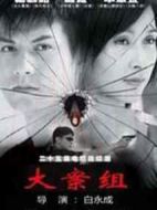 大案組海報(bào)