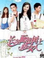 長在面包樹上的女人劇情介紹(1-38全集)