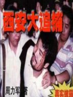 西安大追捕劇情介紹(1-12全集)