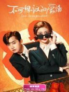 不可思議的愛情 越南語版劇情介紹(1-24全集)