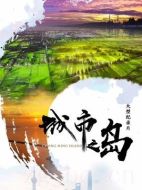 城市之島劇情介紹(1-4全集)