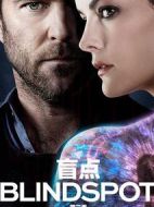 盲點第三季劇情介紹(1-22全集)