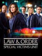 法律與秩序：特殊受害者第十九季