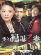 我的糟糠之妻海報