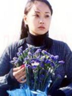 目擊證人劇情介紹(1-19全集)