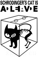 薛定諤的貓劇情介紹(1-20全集)