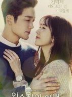 左撇子妻子劇情介紹(1-100全集)