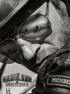 黑幫臥底第二季劇情介紹(1-8全集)