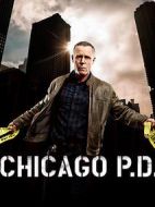 芝加哥警署第五季劇情介紹(1-22全集)