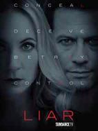 誰在撒謊劇情介紹(1-6全集)