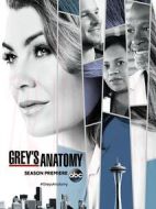 實(shí)習(xí)醫(yī)生格蕾第十四季劇情介紹(1-24全集)