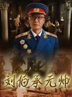 劉伯承元帥劇情介紹(1-33全集)